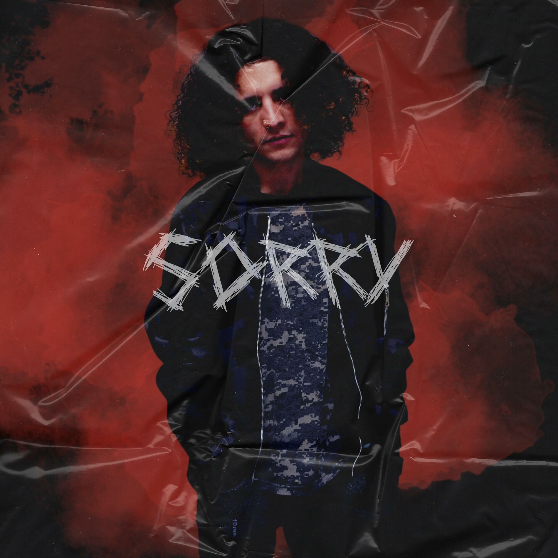 Album cover of Sorry (feat. Zenotic)