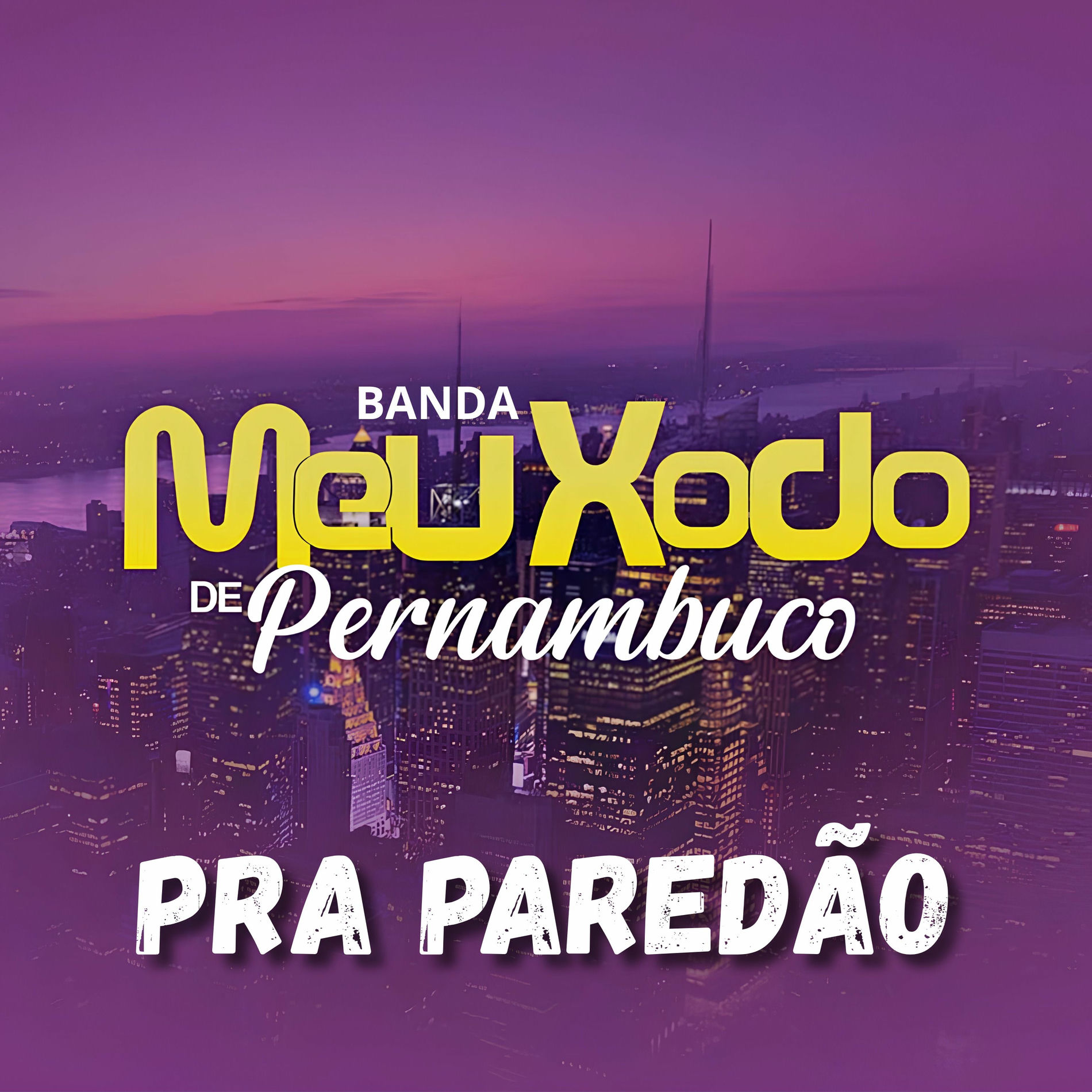 Album cover of Pra Paredão