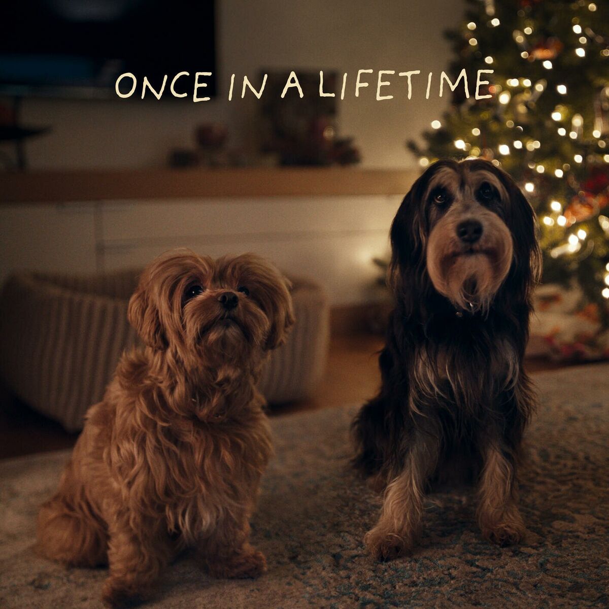 Album cover of Once In A Lifetime