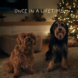 Cover of Once In A Lifetime