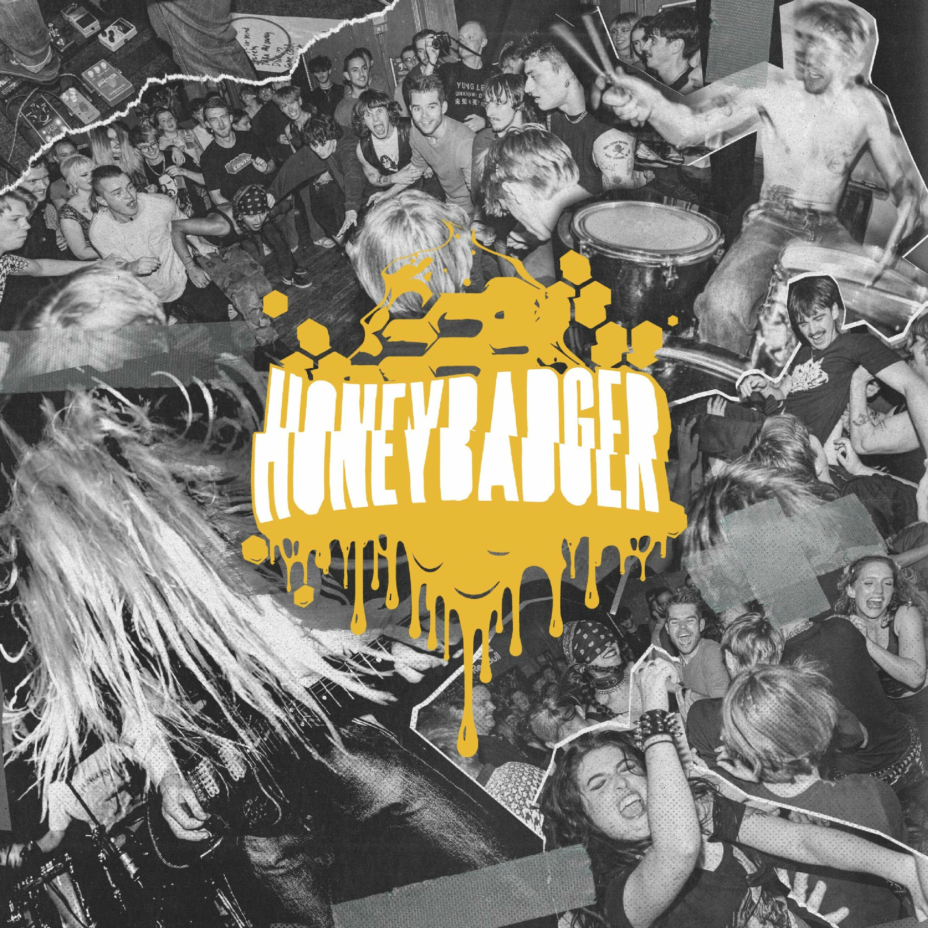 Album cover of Honeybadger