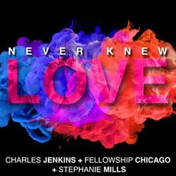 Cover of Never Knew Love