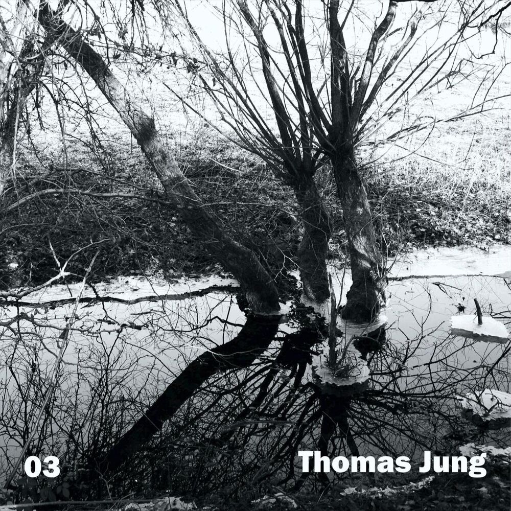 Picture of 03