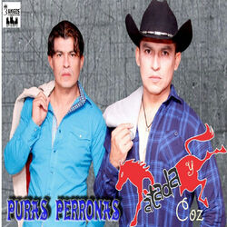 Cover of puras perronas