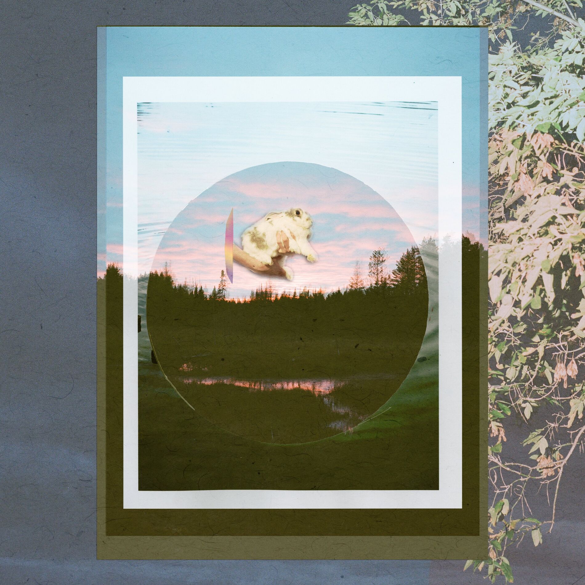 Album cover of Its Way With Me