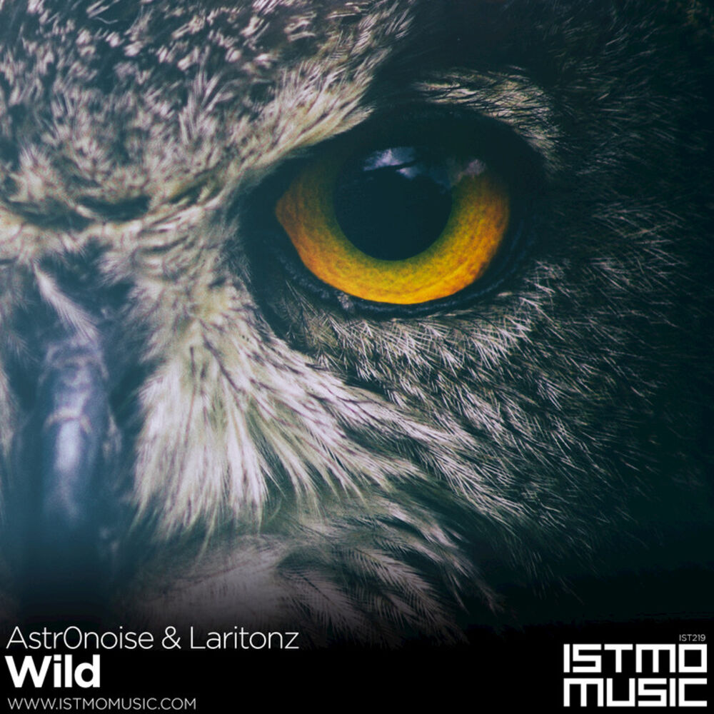 Picture of Wild