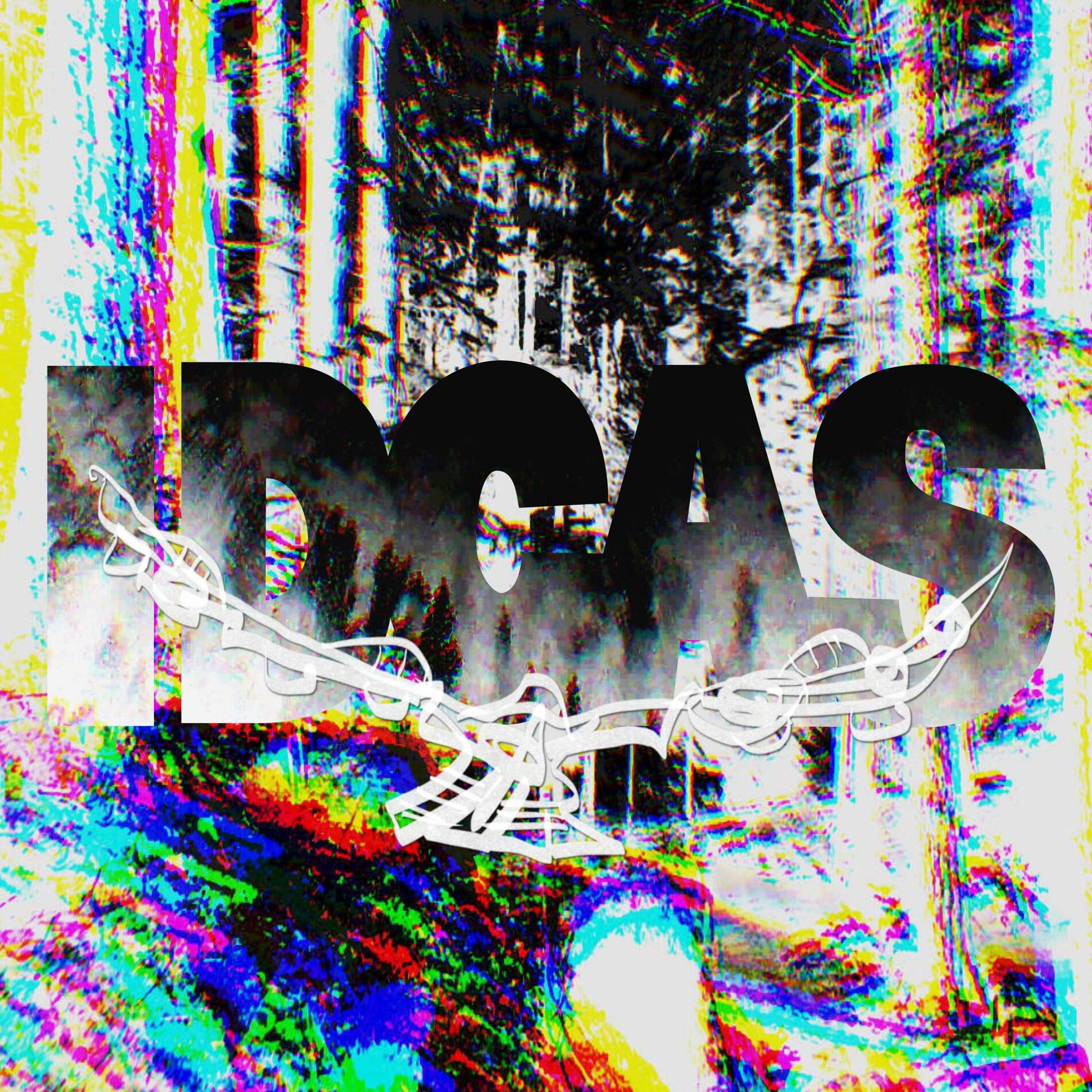 Album cover of I.D.C.A.S