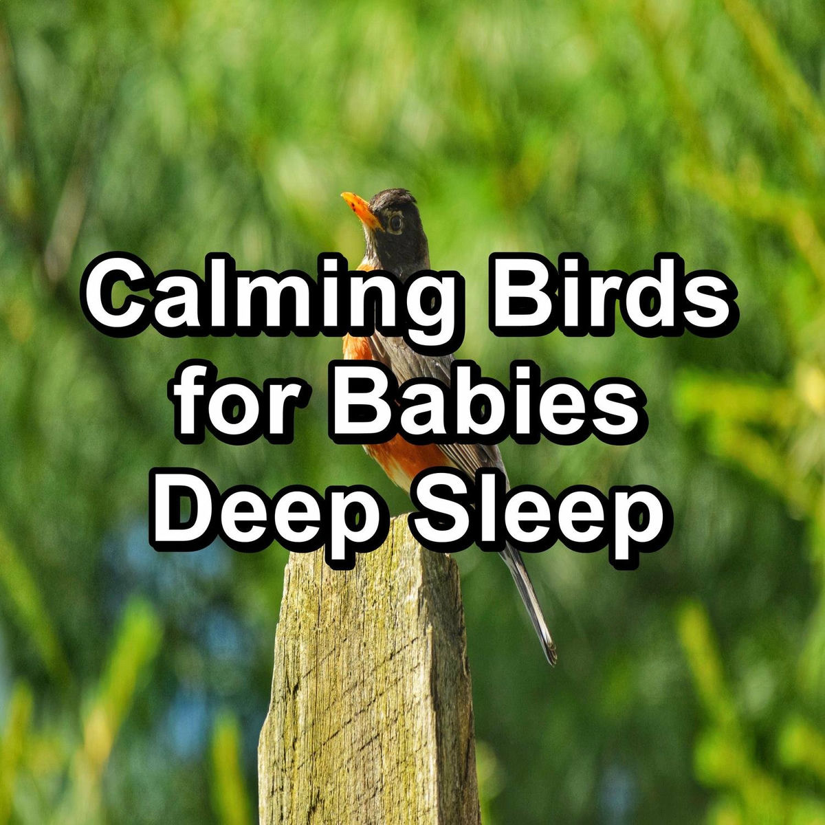 Album cover of Calming Birds for Babies Deep Sleep