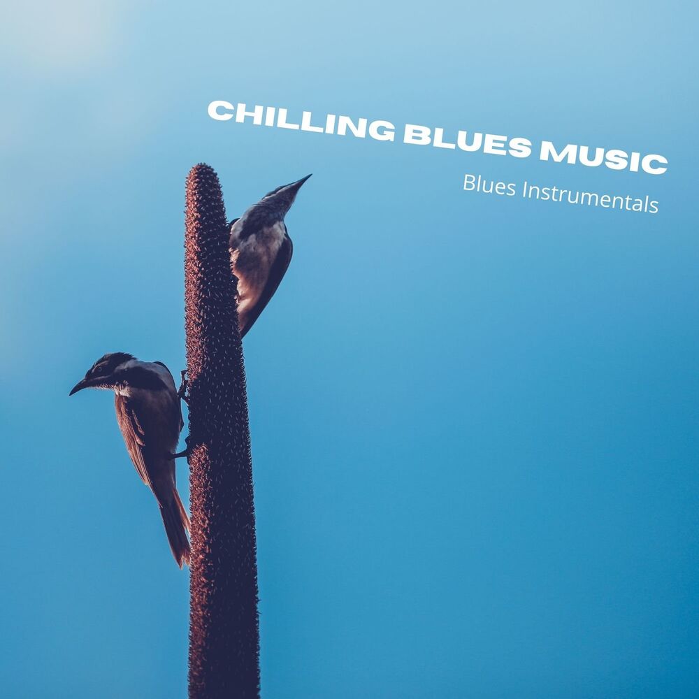 Picture of Chilling Blues Music