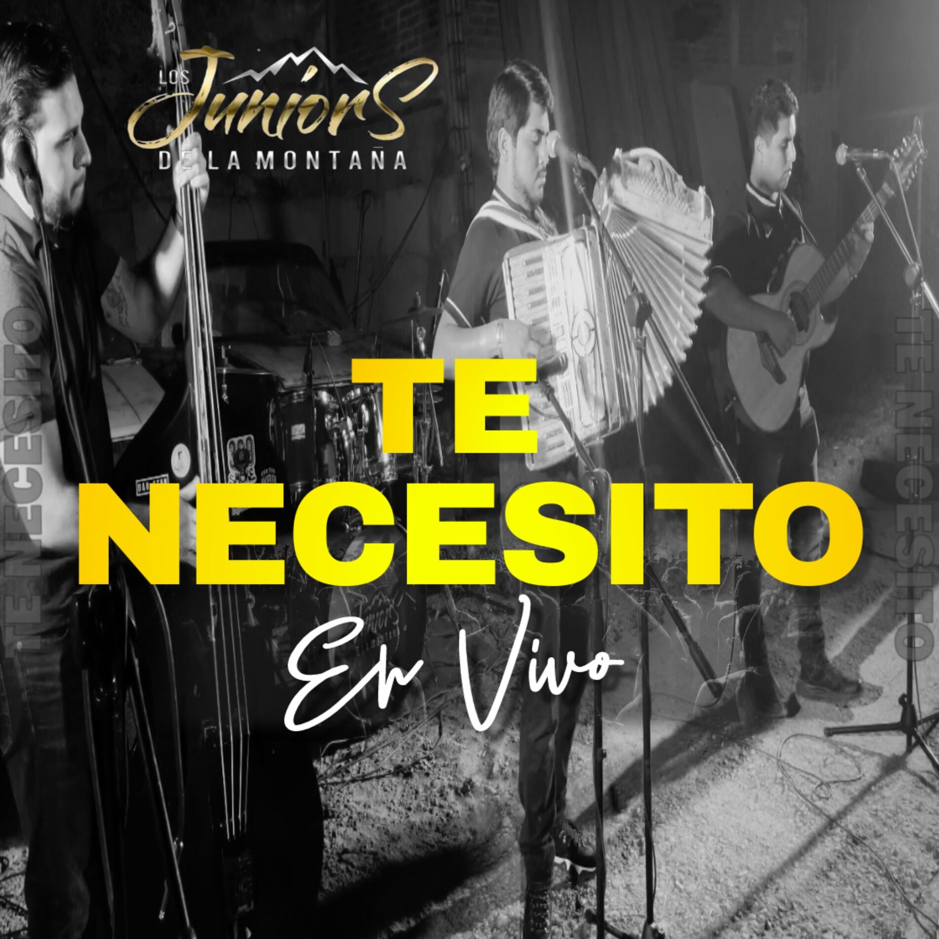 Album cover of Te Necesito (En Vivo)