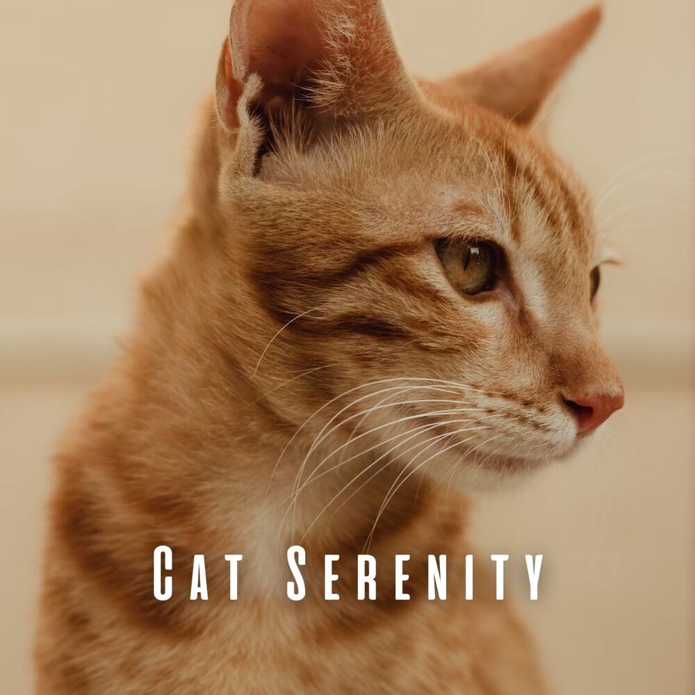Picture of Cat Serenity: Serene Binaural Rain and Theta Waves for Feline Calm