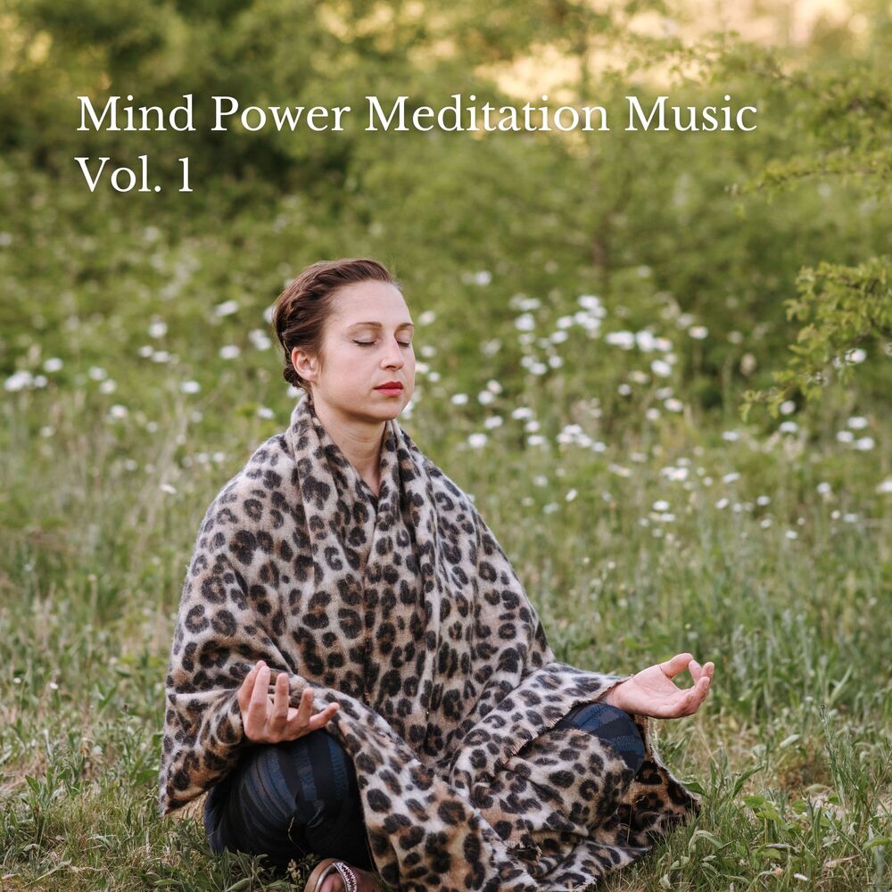 Picture of Mind Power Meditation Music Vol. 1