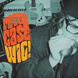 Cover of Wig!