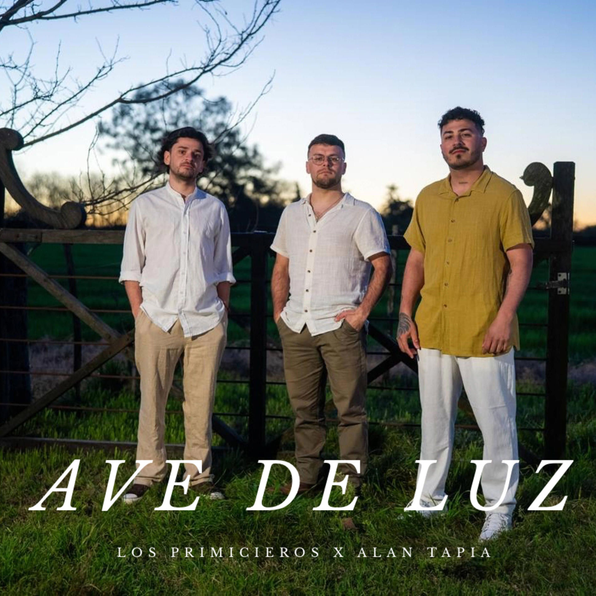 Album cover of Ave de luz (feat. Alan Tapia)