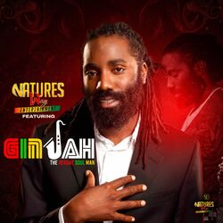 Cover of The Reggae Soul Man