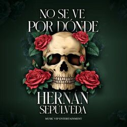 Cover of No Se Ve Por Dónde