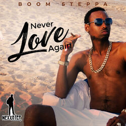 Cover of Never Love Again