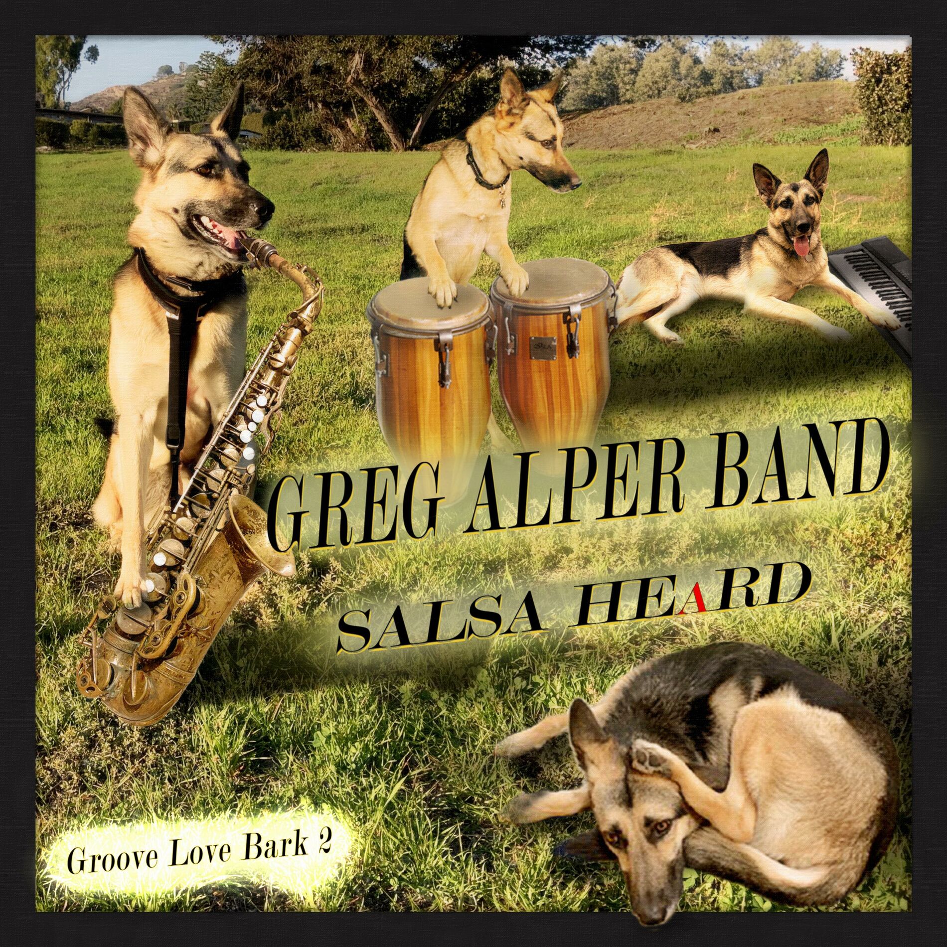 Album cover of SALSA HEaRD (Groove Love Bark 2)