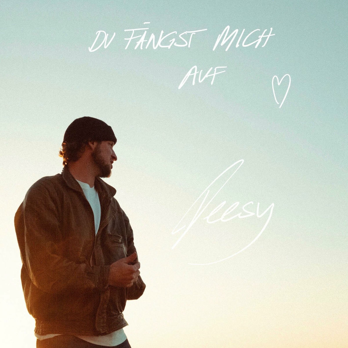 Album cover of Du fängst mich auf (feat. Manith Bertz)