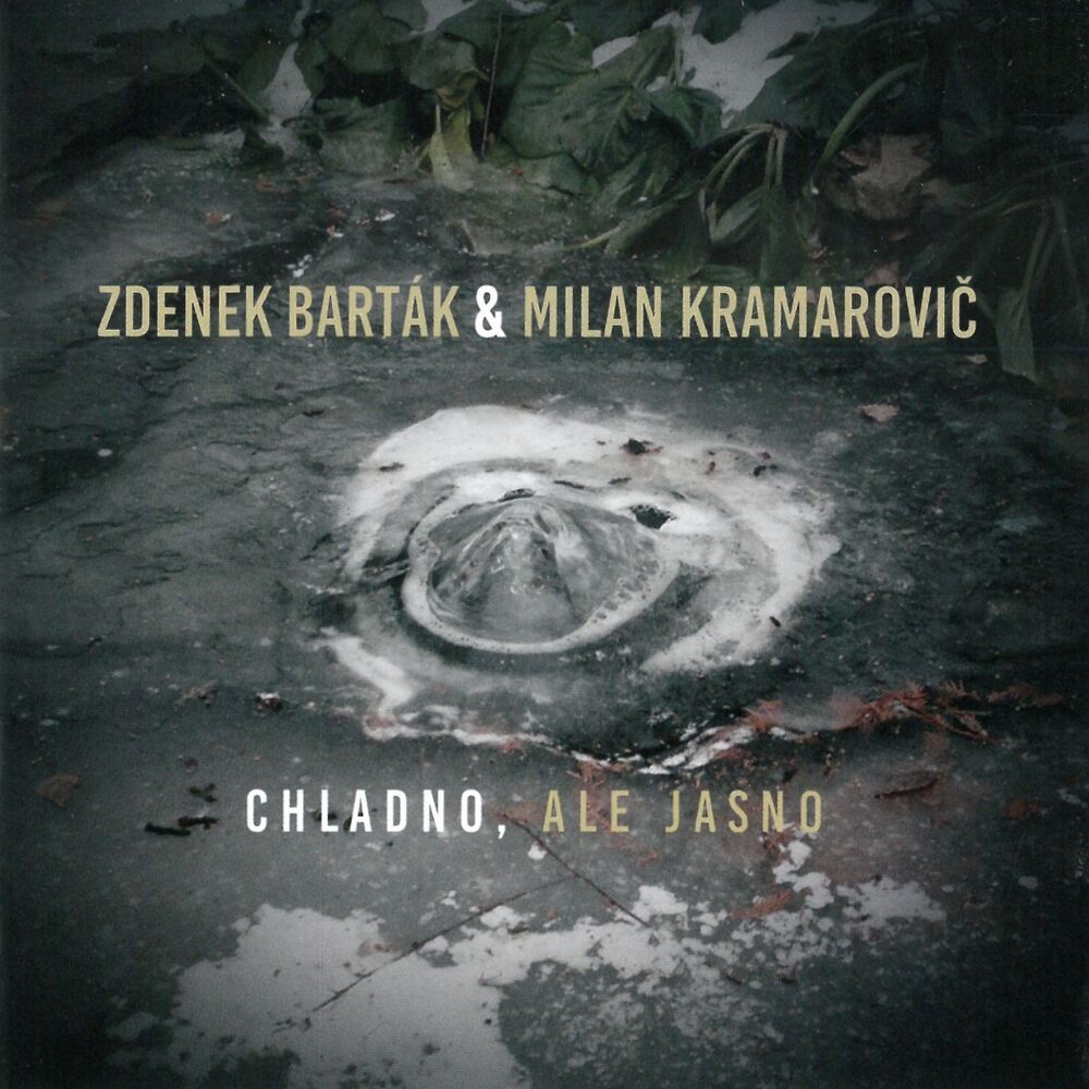 Picture of Chladno, Ale Jasno