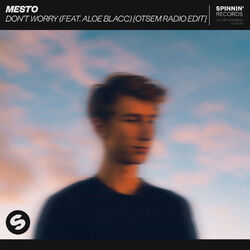 Cover of Don't Worry (feat. Aloe Blacc) (Otsem Radio Edit)