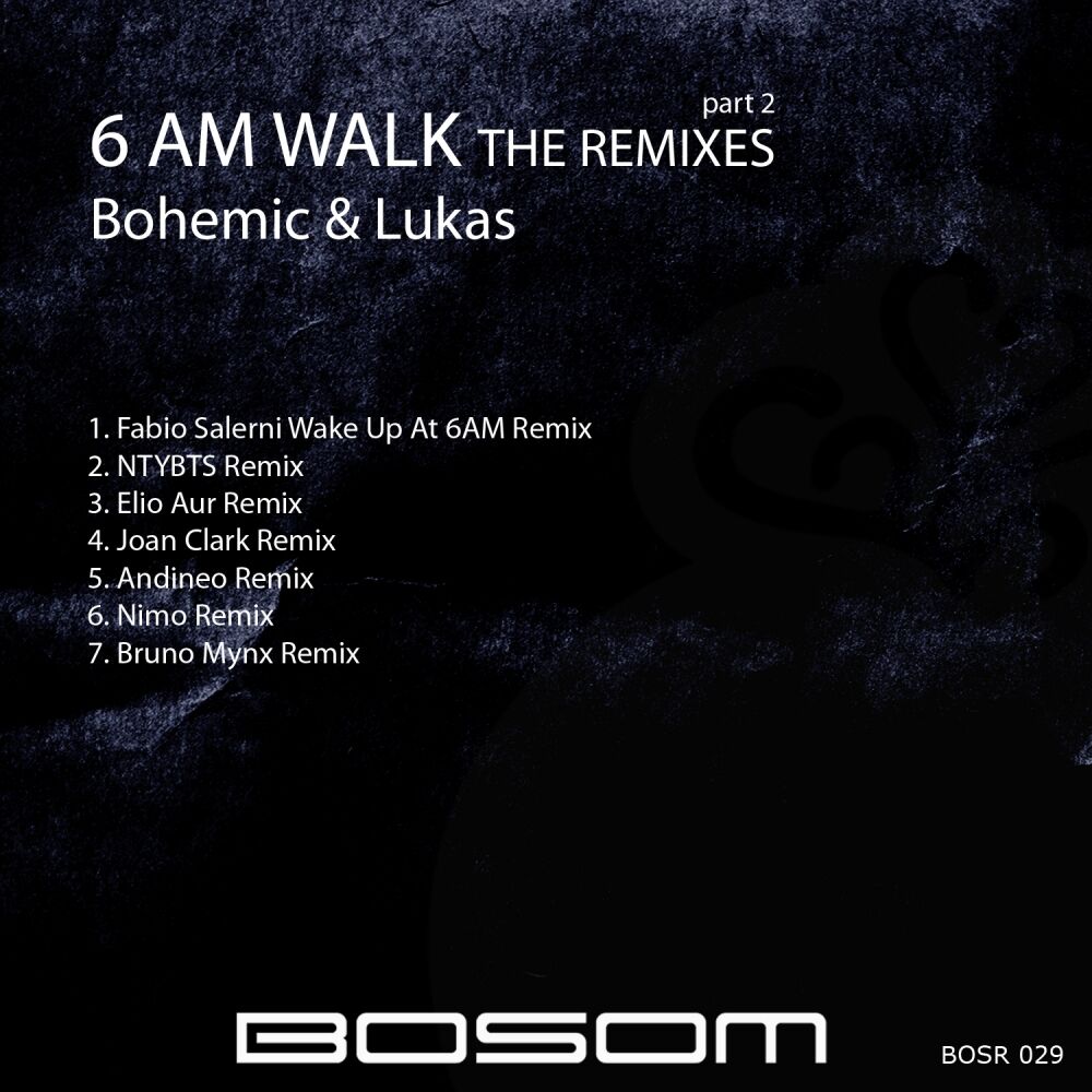 Picture of 6 Am Walk (The Remixes), Pt. 2