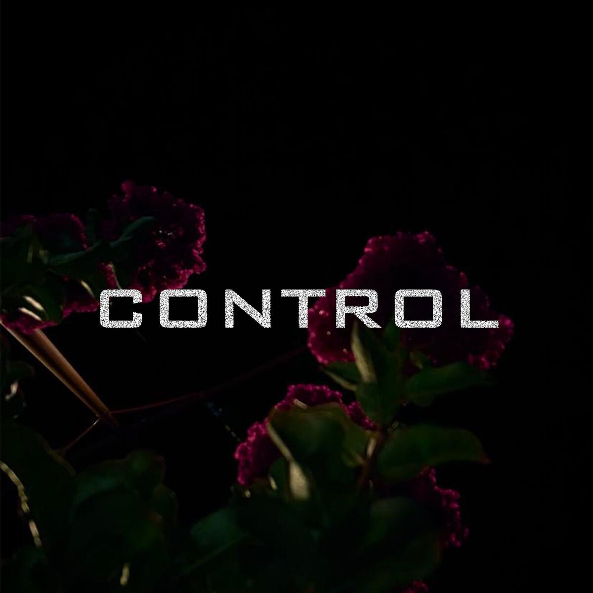 Album cover of Control