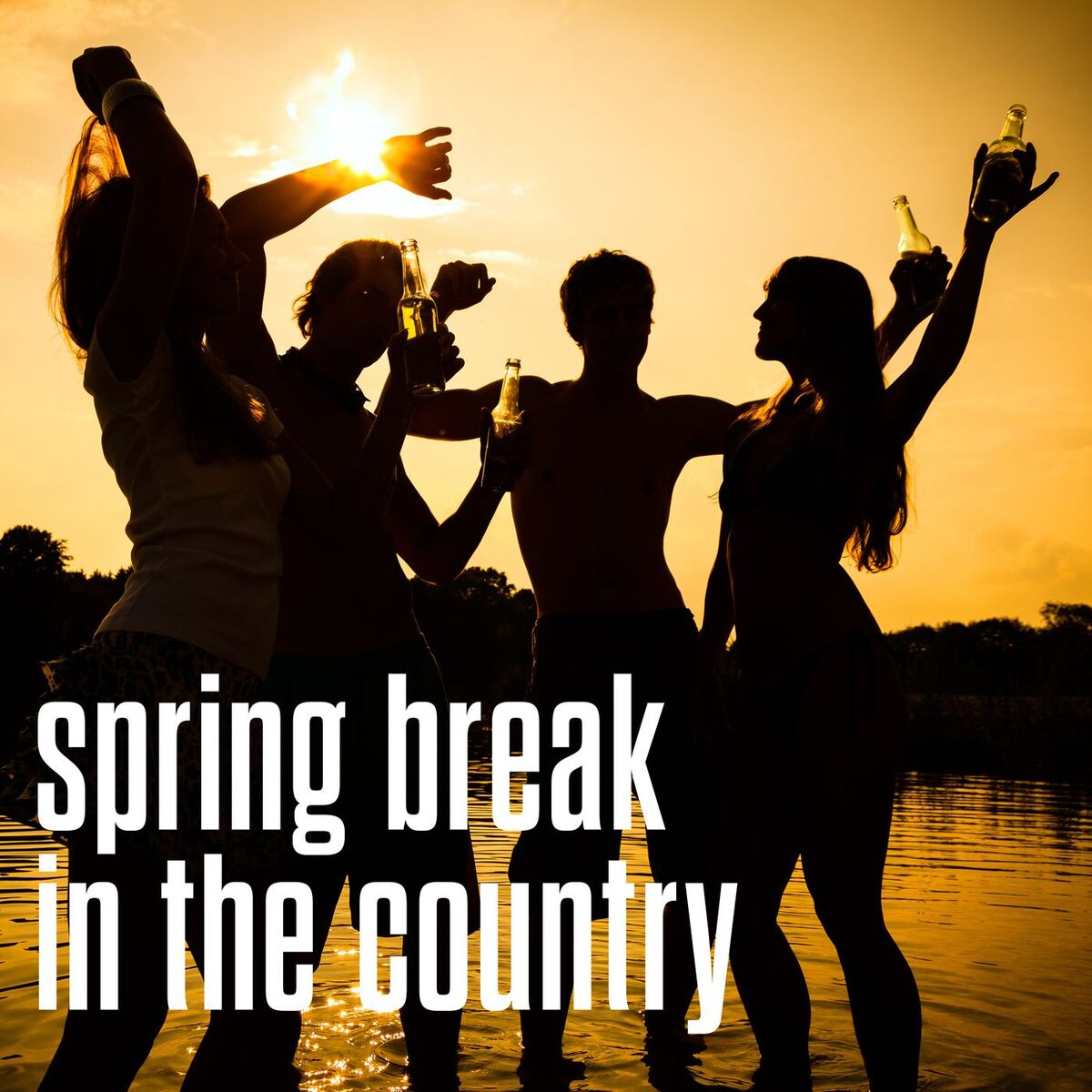 Album cover of spring break in the country