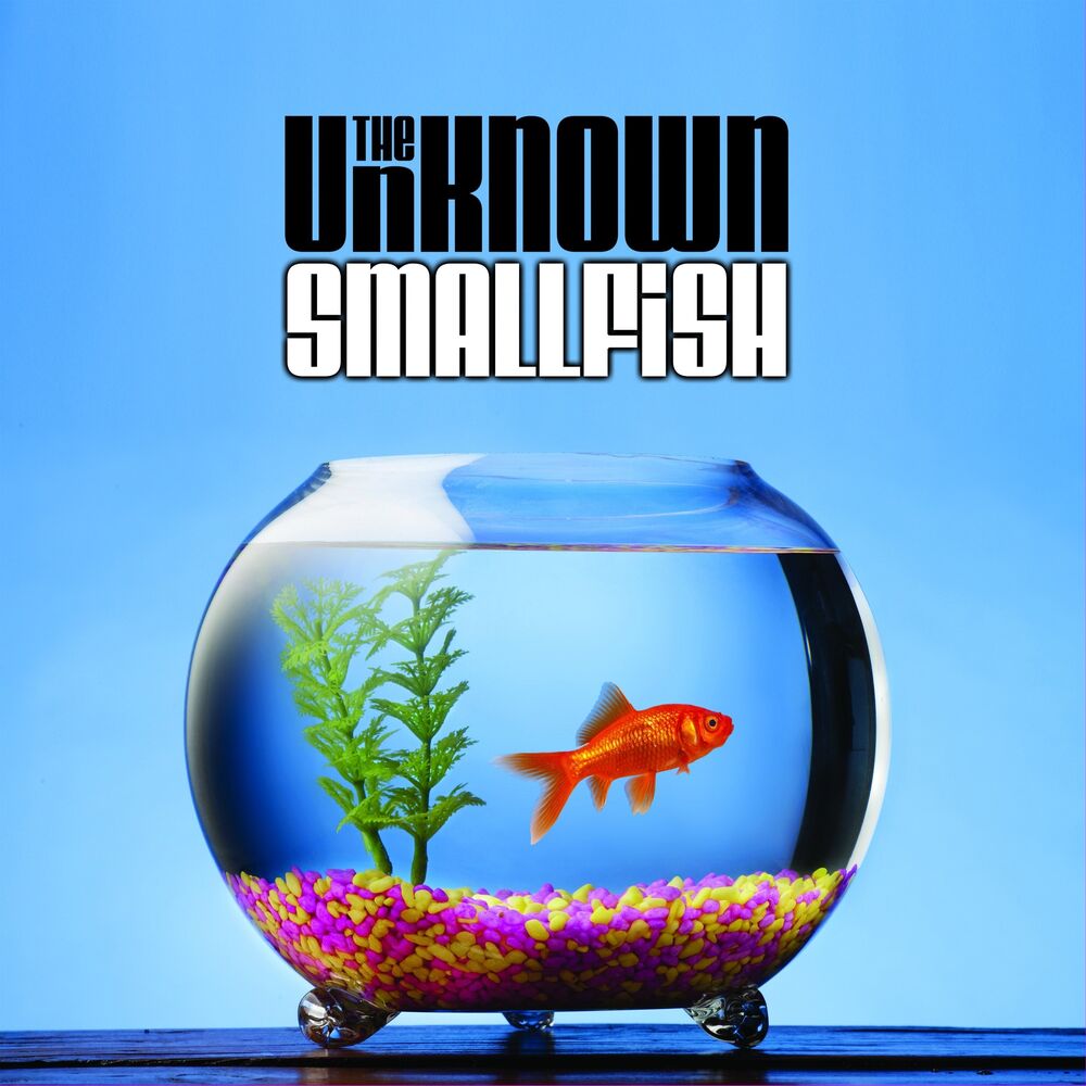 Picture of Small Fish