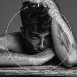 Cover of LOBOS