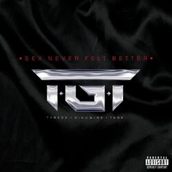 Cover of Sex Never Felt Better
