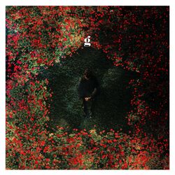 Cover of Home