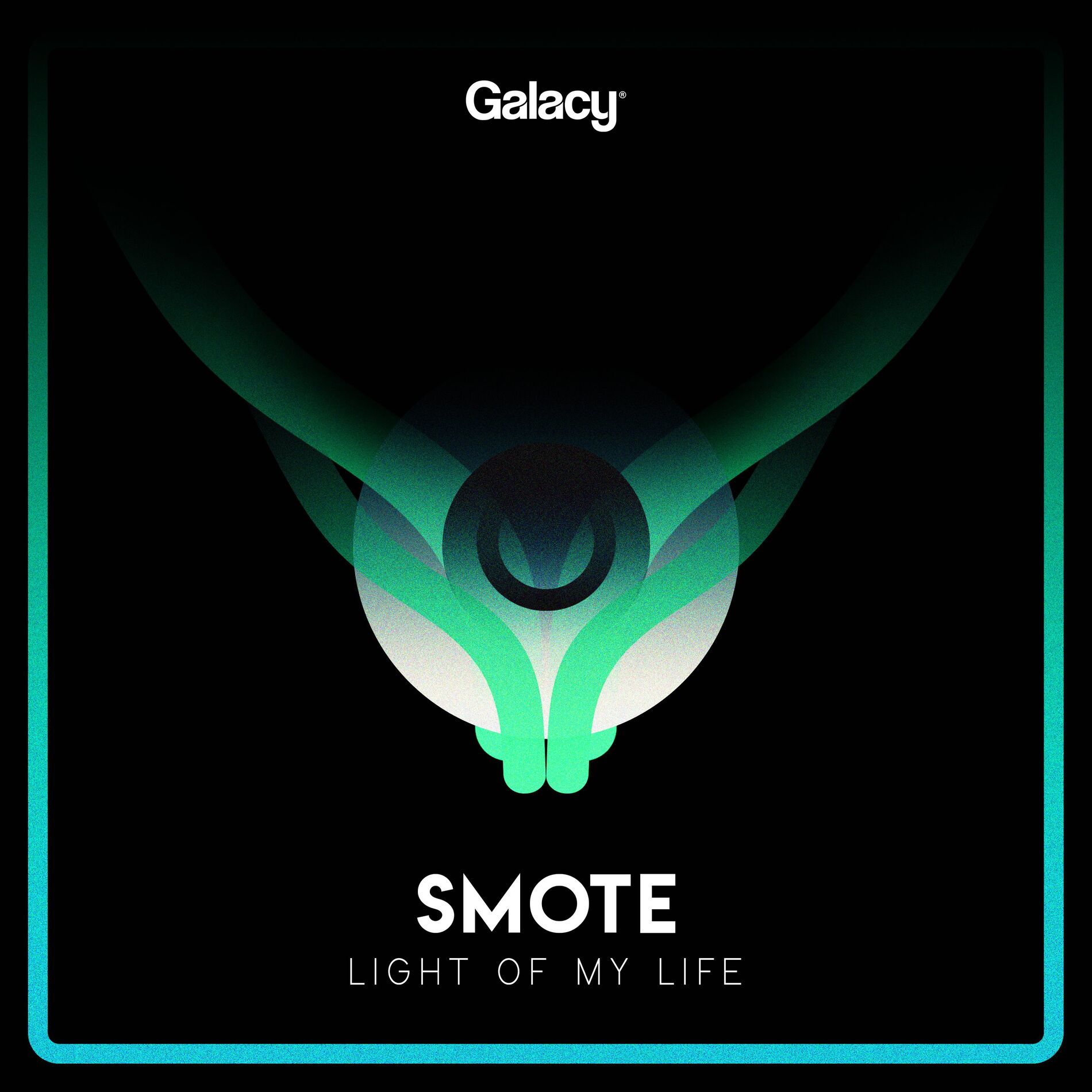 Album cover of Light Of My Life
