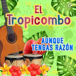 Cover of Aunque Tengas Razón