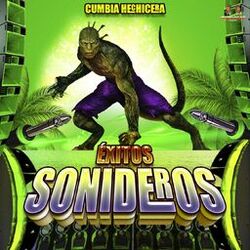 Cover of Cumbia Hechicera