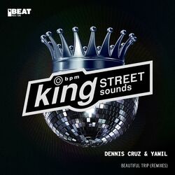 Cover of Beautiful Trip (Remixes)