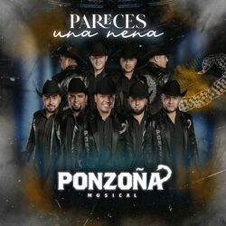 Cover of Pareces Una Nena