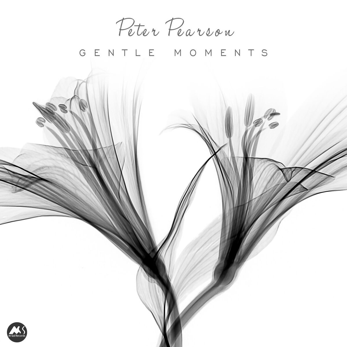 Album cover of Gentle Moments
