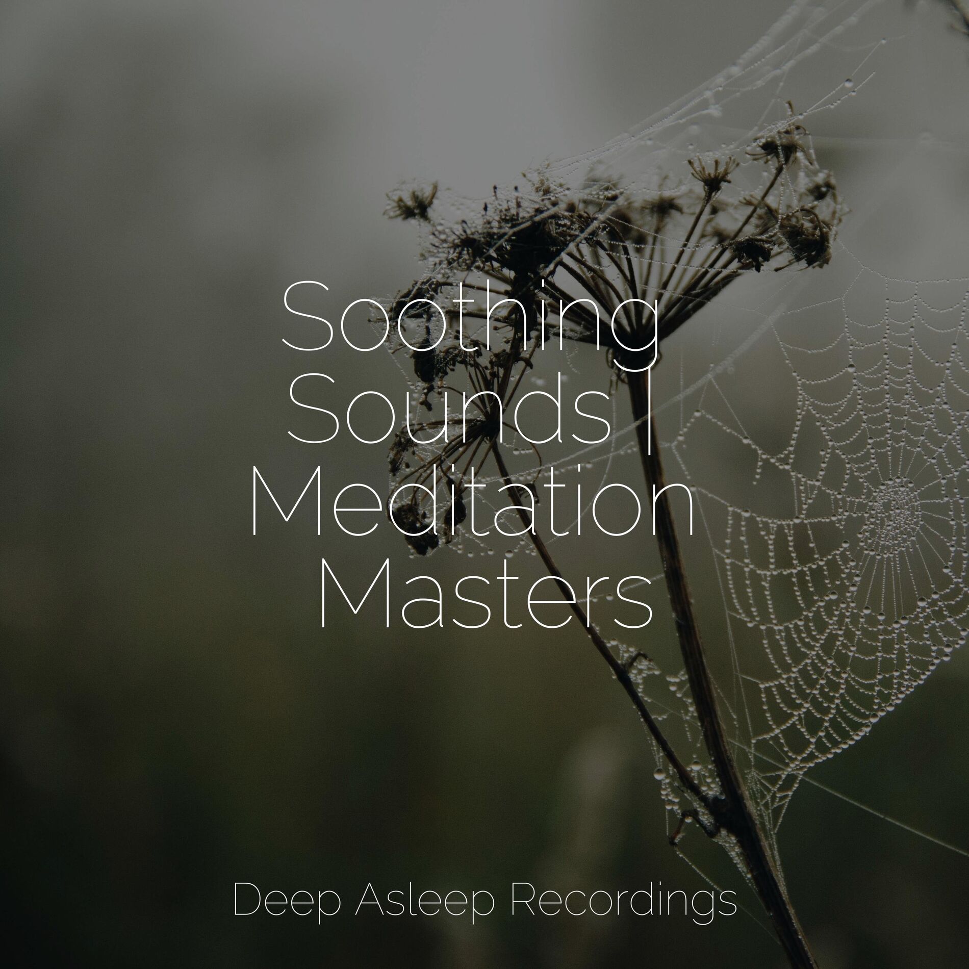 Album cover of Comforting Zen