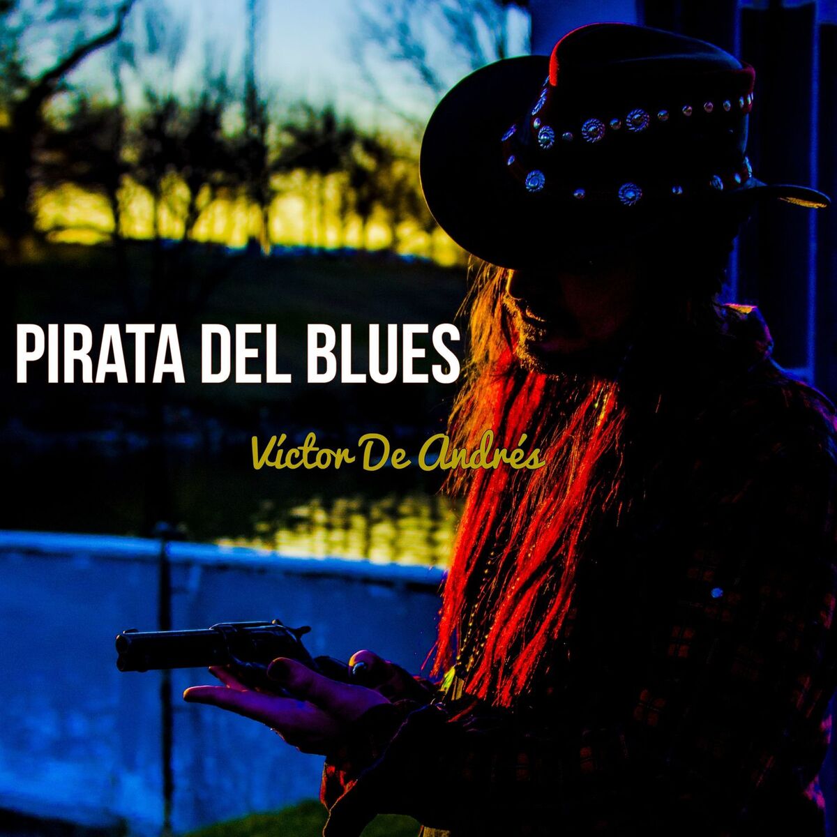 Album cover of Pirata del Blues