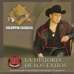 Cover of La Historia De Los Exitos