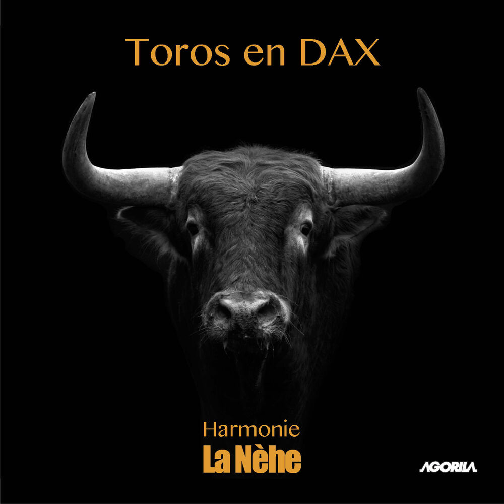Picture of Toros en Dax