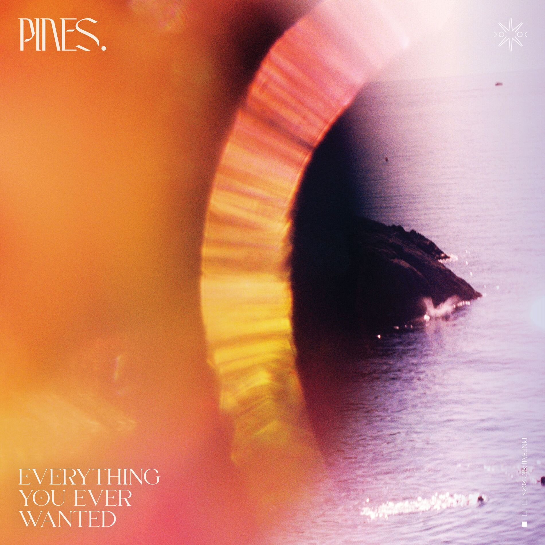 Album cover of Everything You Ever Wanted