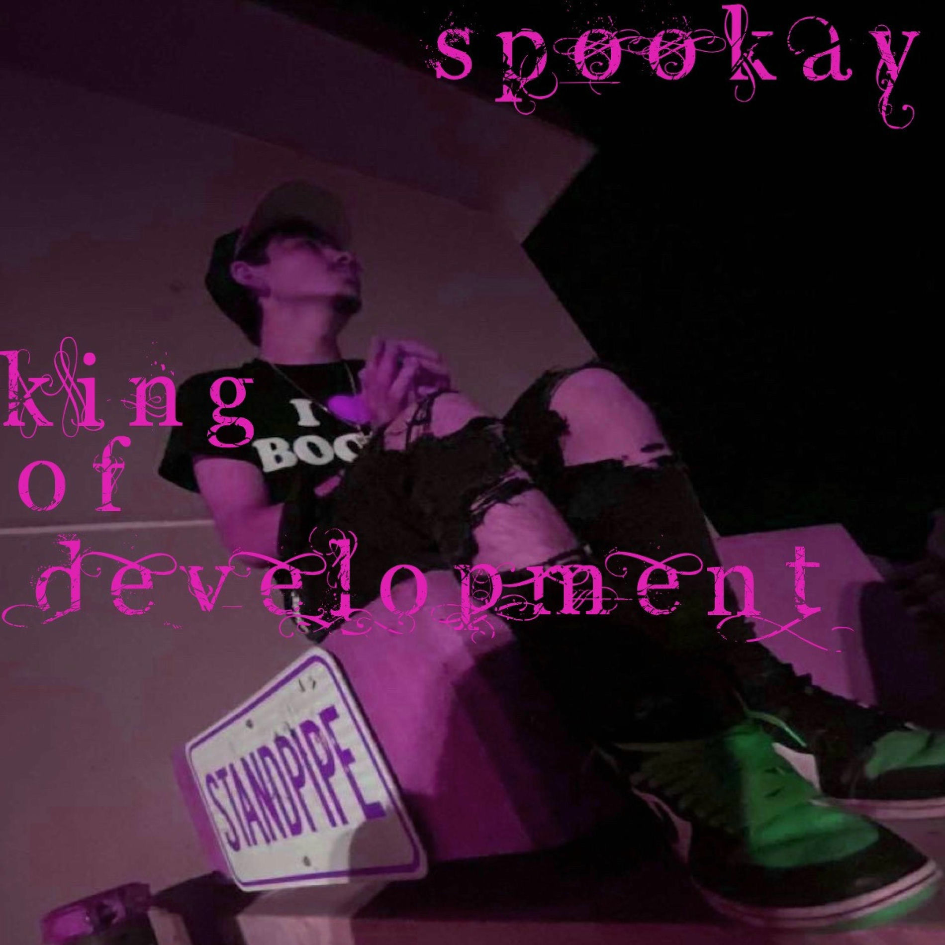 Album cover of King of Development