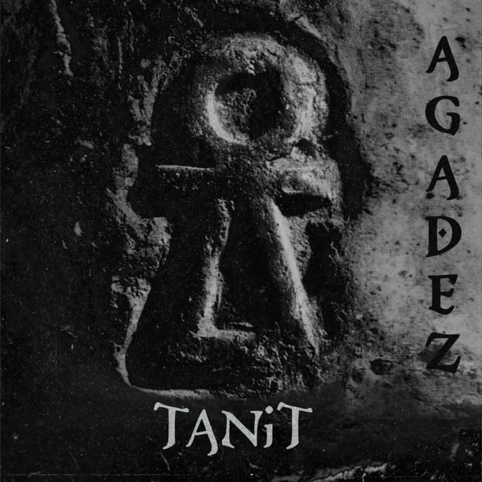 Album cover of TANIT (feat. Angelique Kidjo & Loire Cotler)