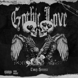 Cover of Gothic Love