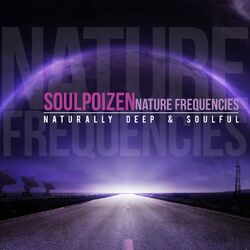 Cover of Nature Frequencies (Natrurally Deep & Soulful)