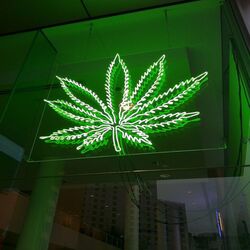 Cover of Weed Wit U