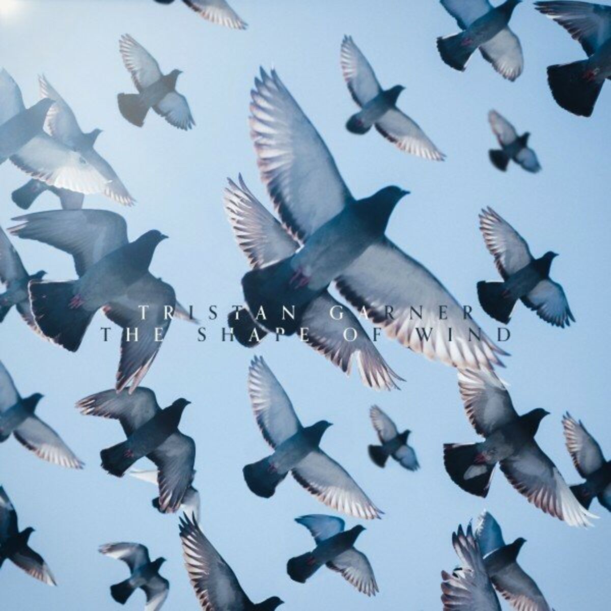 Album cover of The Shape of Wind