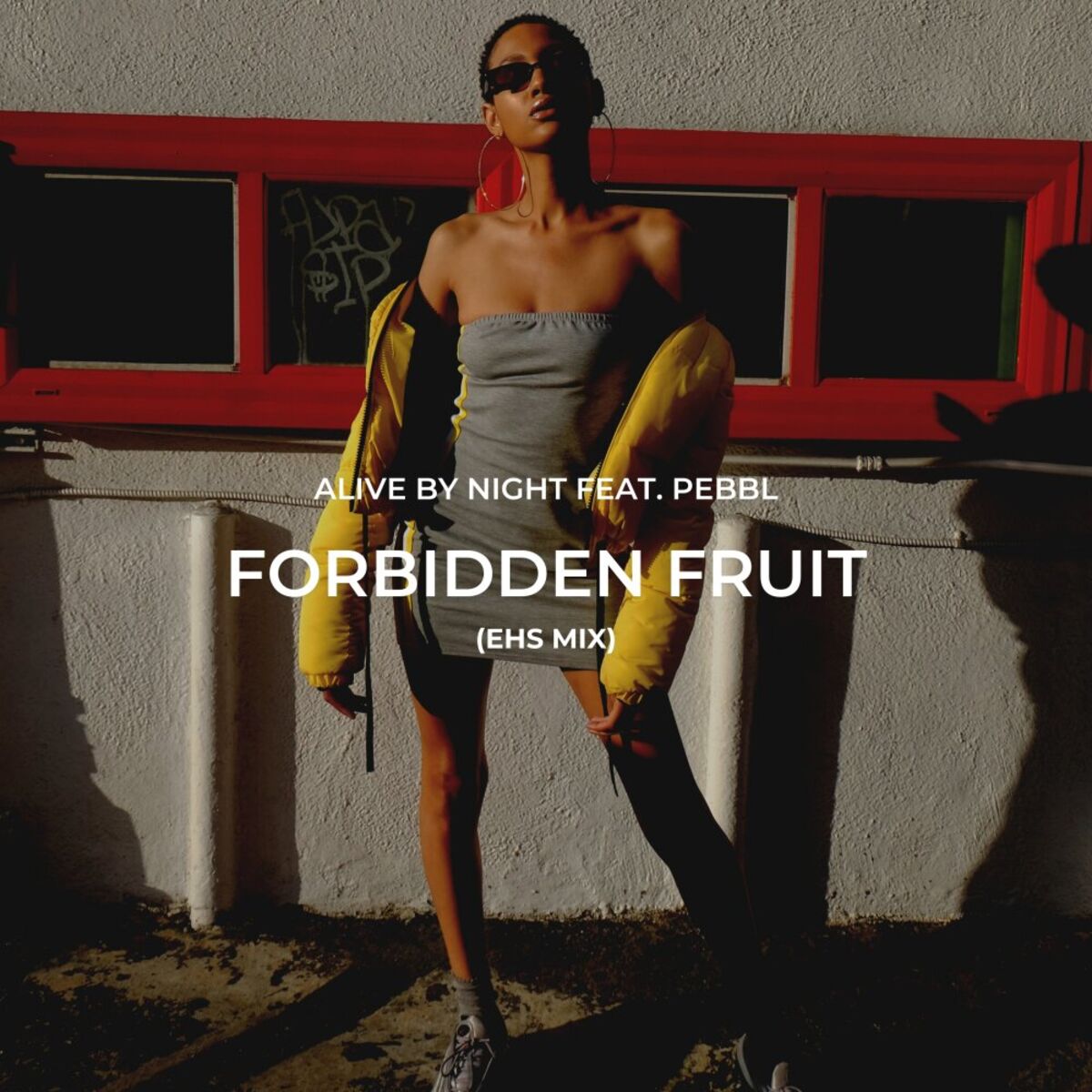 Album cover of Forbidden Fruit (EHS Remix)